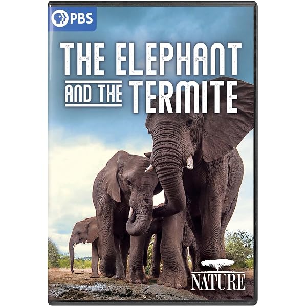 Amazon.com: NATURE: Hippos: Africa's River Giants : n/a, Brad